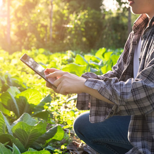 3 Tips to Audit Your Farm Performance and Locate the Problems 