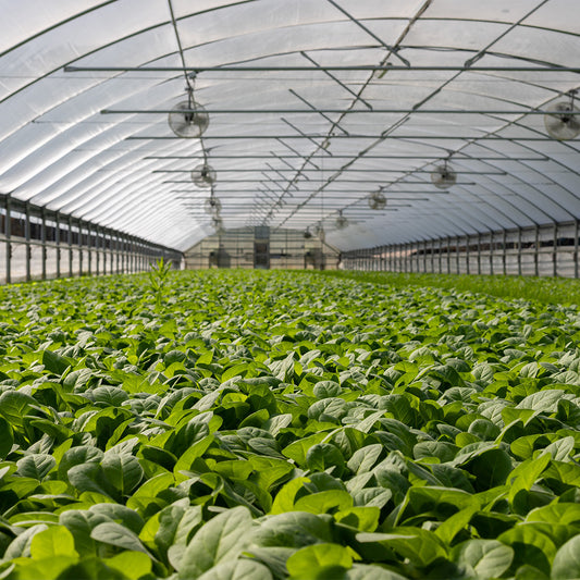 What Is AgTech? The Future of Food and Farming, Explained